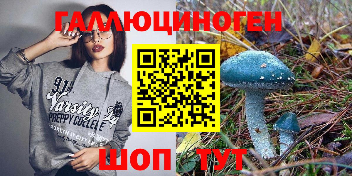 Псилоцибиновые грибы Psilocybine cubensis Омск